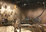 Natural History Museum of Utah