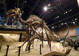 Natural History Museum of Utah