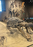 Natural History Museum of Utah