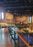 Natural History Museum of Utah