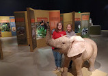 Natural History Museum of Utah