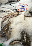 Pike Place Fish Market