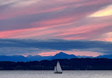 Discovery Park Beach