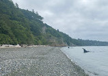 Discovery Park Beach