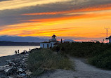 Discovery Park Beach