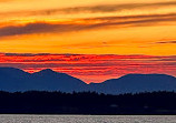 Discovery Park Beach