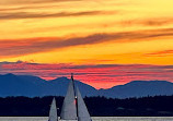 Discovery Park Beach