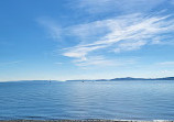 Discovery Park Beach