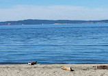 Discovery Park Beach