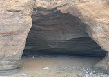 Discovery Park Beach