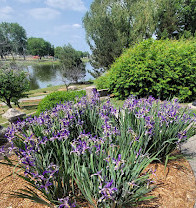 Japanese Gardens