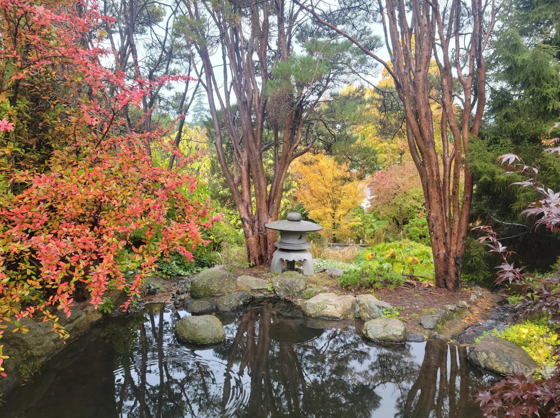 Japanese Gardens