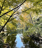 Giardino botanico di Brooklyn