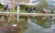 Jardim Botânico do Brooklyn