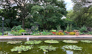 Jardim Botânico do Brooklyn