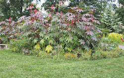 Botanischer Garten der Königin