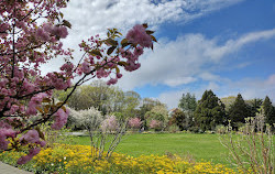 Botanischer Garten der Königin