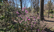 Giardino botanico della regina