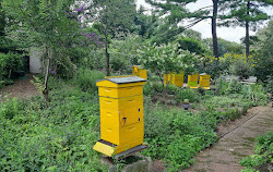 Botanischer Garten der Königin