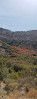 Mount Nebo Overlook