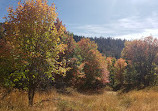 Mount Nebo Overlook